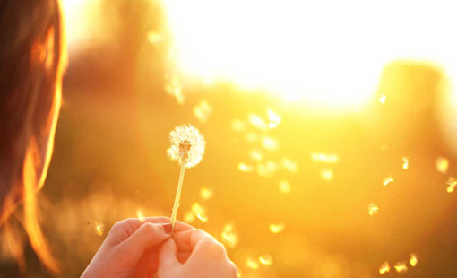 هل أنت شخصية حالمة؟